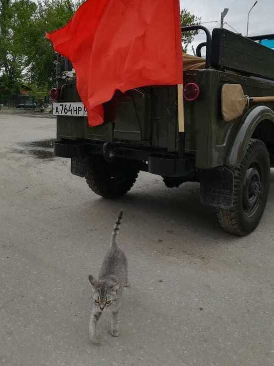 Урок мира в саратовских школах прошёл в режиме онлайн