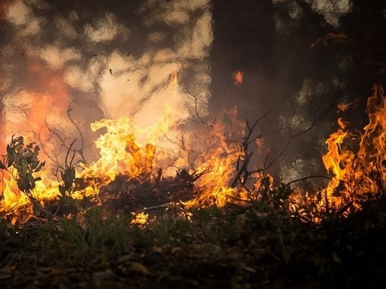 За сутки в Оренбургской области сгорело более 300 гектаров земли
