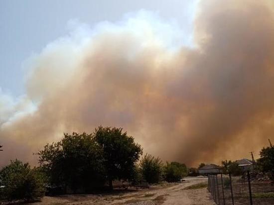 Прокуратурой Ростовской области организована проверка в связи с четырьмя природными пожарами