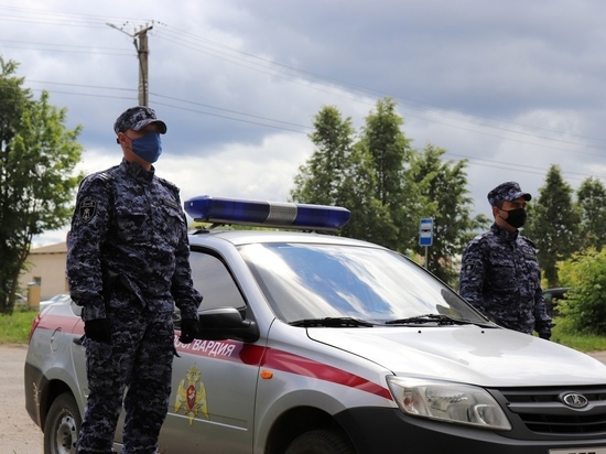 Сотрудники Росгвардии задержали в Йошкар-Оле грабителя