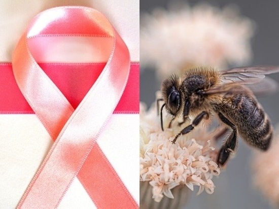 Яд пчелы убил клетки агрессивного рака груди