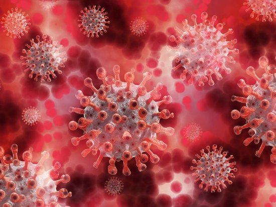 Еще +90: на Кубани зафиксировали новые случаи заражения коронавирусом