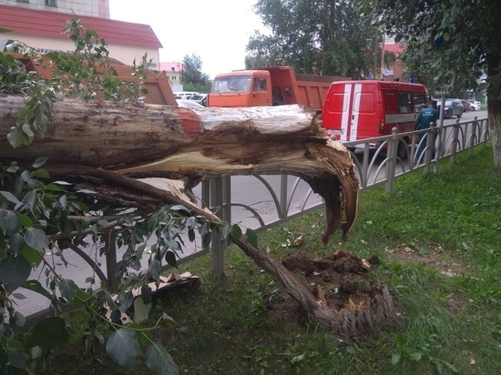 В Екатеринбурге из-за сильного ветра пострадала женщина и 11 автомобилей