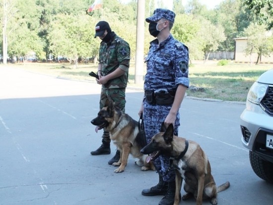 В Воронеже кинологи Росгвардии рассказали воспитанникам кадетского корпуса о работе служебных собак