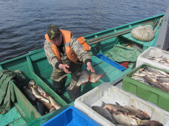 На Ямале с начала года поймали больше 5 тысяч тонн рыбы
