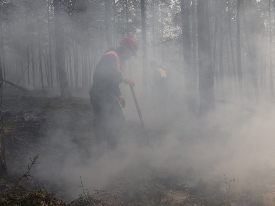 Площадь лесных пожаров в Якутии за сутки уменьшилась на 240 гектаров