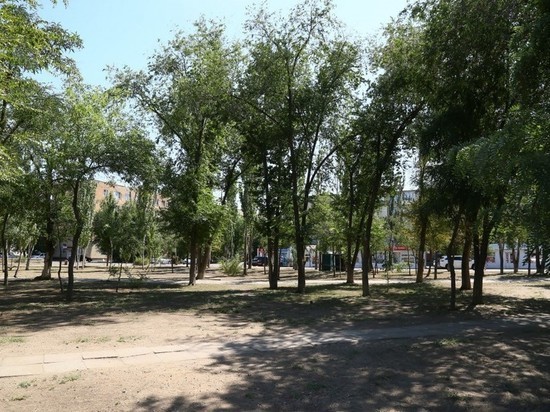 В благоустраиваемом парке Татищева появится новая большая спортивная площадка