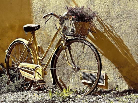 В Тульской области мужчина угнал подростковый велосипед
