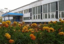 В министерстве образования Новосибирской области прокомментировали случай выявления коронавирусной инфекции у учащегося шестого класса школы №13 в Заельцовском районе
