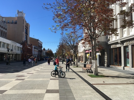 В Саратове "внепланово" зацвели каштаны