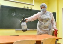 С начала нового учебного года три класса из разных регионов России загремели на карантин по коронавирусу