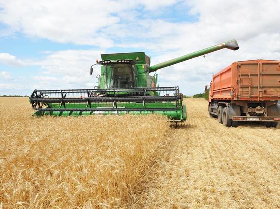 Валовой сбор зерна в Чувашии превысил показатель прошлого года