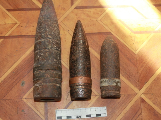 Найденные в Брянской области боеприпасы обследовали взрывотехники ОМОН