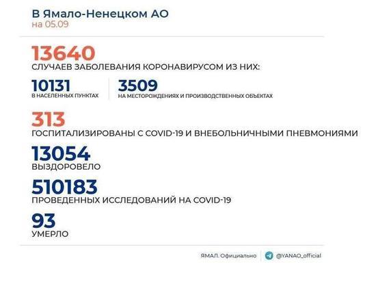 За сутки на Ямале выявили 46 случаев COVID-19