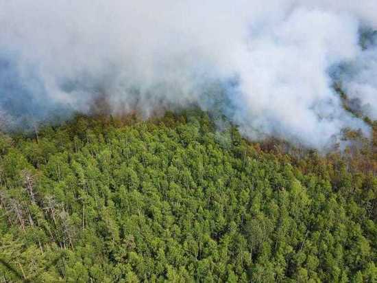 Якутск накрыло дымом лесного пожара в Горном районе