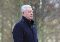 Мэр Москвы Сергей Собянин заявил, что нужно фильтровать поток слухов о происходящем в столице в связи с пандемией коронавируса