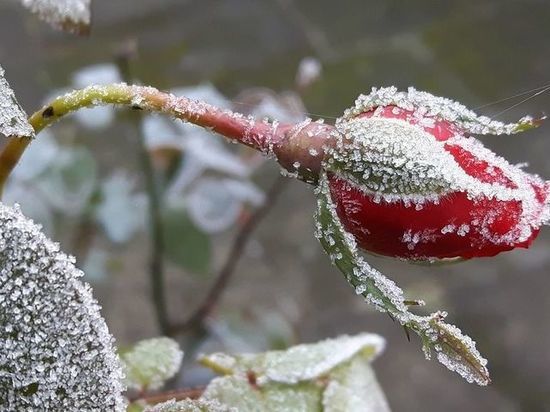 Первый снег в Омске ожидается уже сегодня