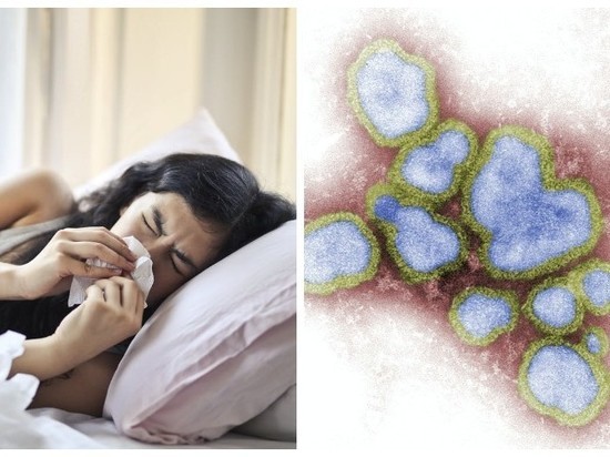 Сезонные простуды способны ослабить вирус гриппа