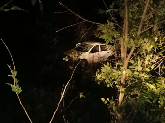 В Рязанской области перевернулась «Лада», водитель был пьян