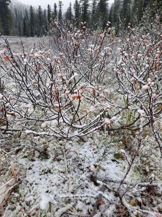 Рядом с Хакасией в горах выпал первый снег