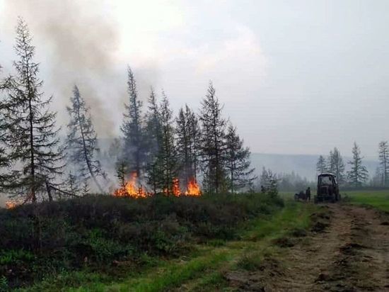 За сутки в Якутии возник 31 лесной пожар