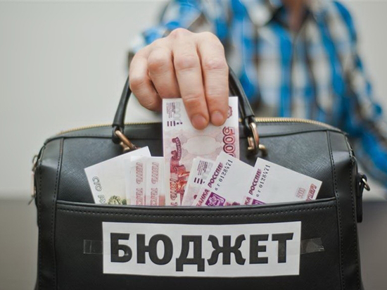 Публичные слушания по исполнению бюджета края 2019 года пройдут в Чите