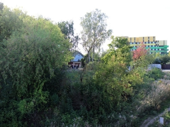 Власти прислушались к жителям Иванова: строить многоквартирный дом в частном секторе не будут