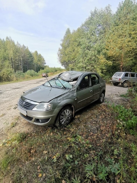 Машину в утиль, пассажирку в больницу: в Костромской области произошло ДТП с лосем