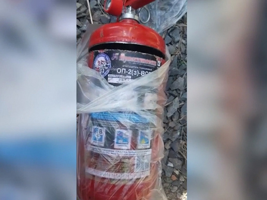 Житель Хакасии поставлял гашиш в соседний регион в огнетушителе
