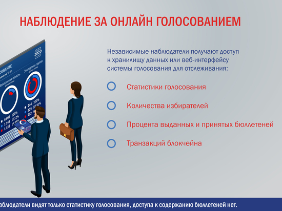 Независимые наблюдатели смогут контролировать дистанционное голосование