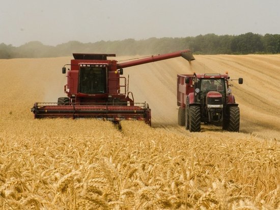 На полях Марий Эл продолжают уборку зерновых и зернобобовых культур