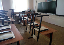 Как и предполагал «МК», школы в России точечно уходят на удаленку