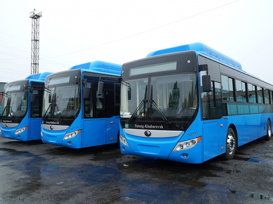 Более полусотни новых автобусов выйдут на маршруты в Хабаровске в ноябре