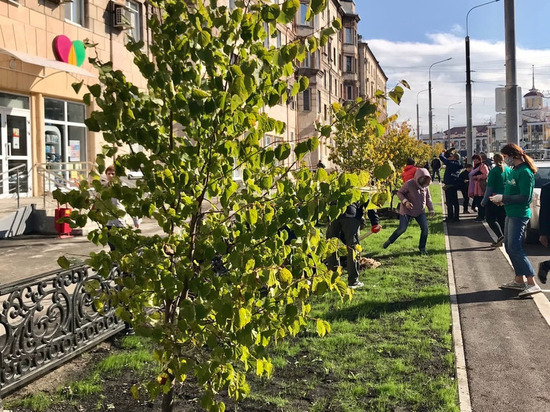 Мэр Новокузнецка пригласил жителей города на посадку молодых деревьев Мэр Новокузнецка пригласил жителей города на посадку молодых деревьев
