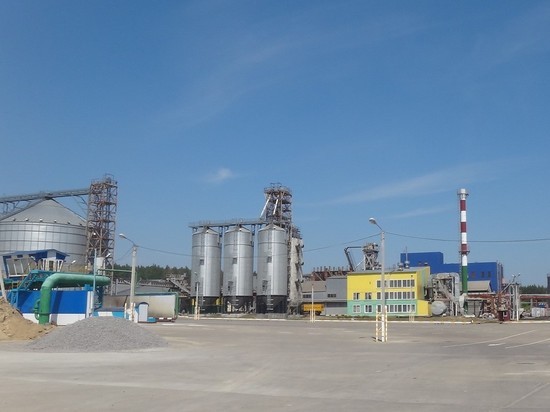 Росприроднадзор оштрафовал Тамбовский сахарный завод на миллион рублей