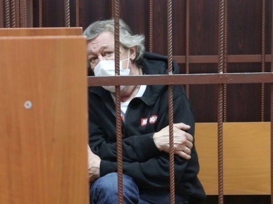 Ефремов: Пашаева ни в коем случае не будет на апелляции