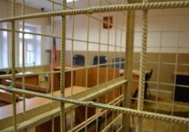 Забайкальский краевой суд оставил без удовлетворения апелляционную жалобу жителя Улёт Дениса Бронникова, который ночью 8 апреля убил свою дочь