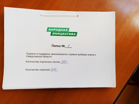 Инициативная группа передала в Заксобрание подписи за возвращение выборов мэров