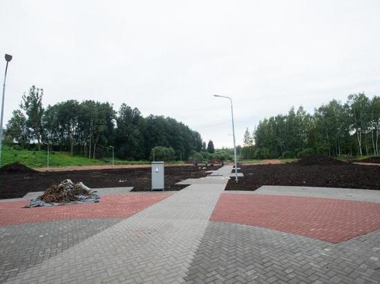 В новом парке в Великих Луках поставят памятник Петру Первому