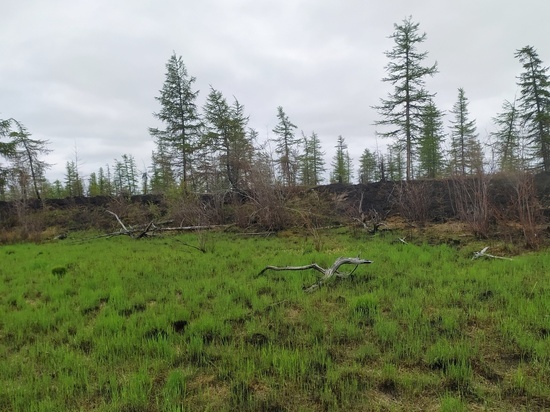 27 лесных пожаров действуют в Якутии
