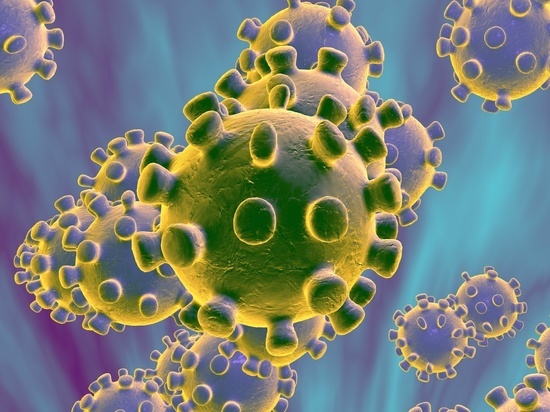 На Кубани подтвердили еще 88 случаев инфицирования коронавирусом