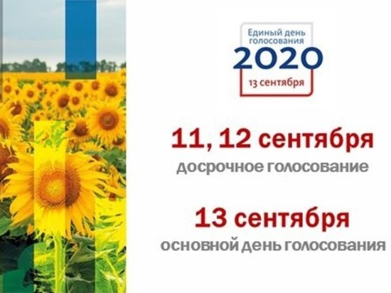 В Курской области стартовало досрочное голосование на дополнительных выборах депутата Госдумы