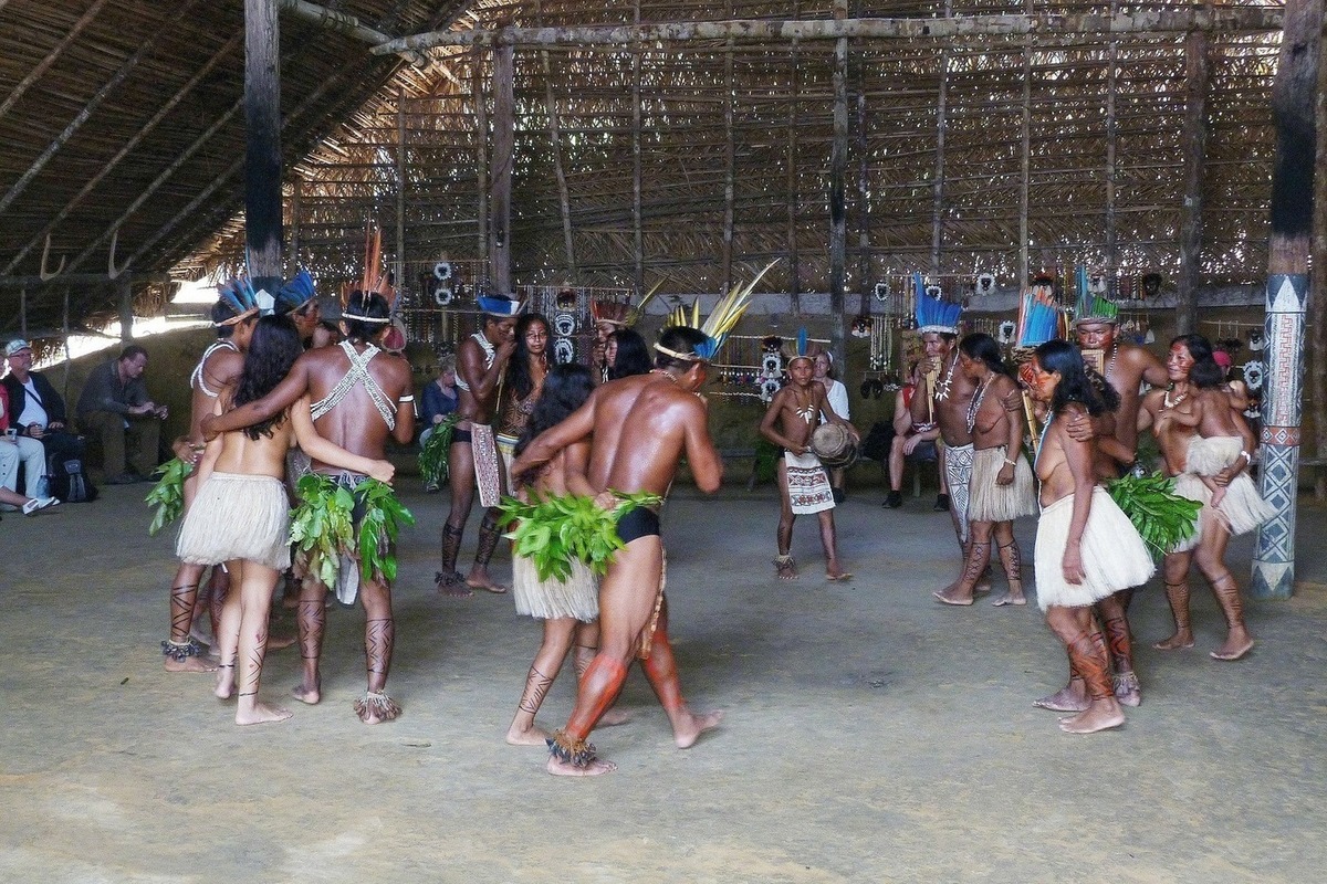 племена в бразилии