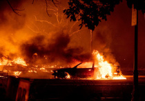Лесные пожары в Калифорнии нельзя назвать редкостью – леса здесь горят с удручающей периодичностью