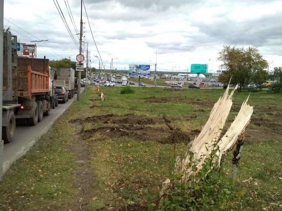В Рязани начали вырубать деревья для расширения дороги у «Глобуса»