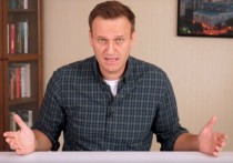 Российский оппозиционер Алексей Навальный мог быть отравлен токсином, который является дальнейшим развитием ранее известных композиций нервно-паралитического агента "Новичок" и является более тяжелой его формой
