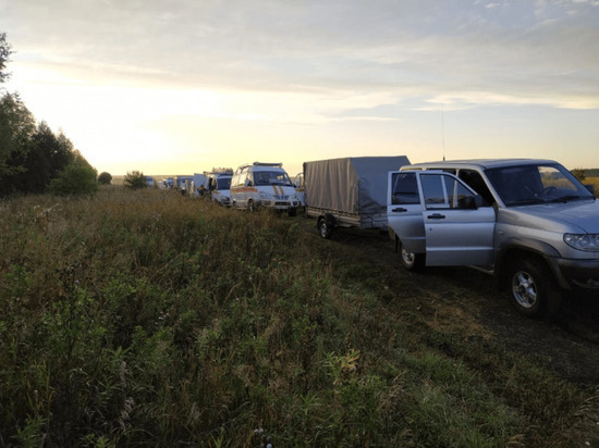 В Башкирии ищут двух потерявшихся в лесу детей