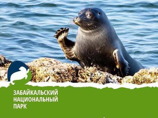 Забайкальский национальный парк в Бурятии отмечает день рождения