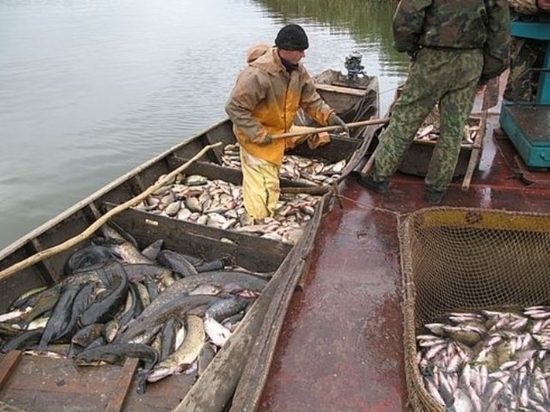 В Калмыкии начался осенний промысел рыбы