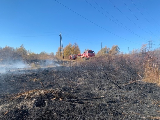 Лесной пожар в Магаданской области чуть не спалил поселок